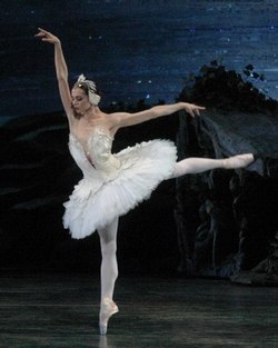 The performance of the Swan Lake in the Cathedral Plaza in Old Havana by the Cuban National Ballet